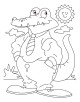 Alligator Coloring Page Alligator Coloring Page