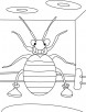 Bed bug in ring coloring pages