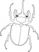 Beetle, on the way coloring pages