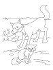 Fox and Cub coloring page