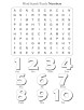 Word Search Puzzle Numbers