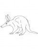 Aardvark coloring sheet
