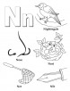 My A to Z Coloring Book Letter N coloring page