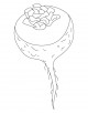 Turnip Coloring Page