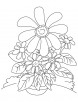 So many coneflower coloring page