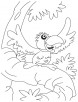 A talkative parrot coloring page