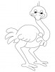 Asian ostrich coloring page