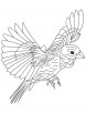 Black and yellow flying Grosbeak coloring page
