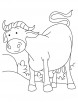 Buffalo standing in field coloring page