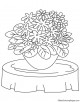 Primrose Flower Coloring Page