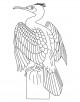Cormorant Bird Coloring Page