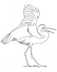 Egret Bird Coloring Page
