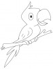 Indian parrot coloring page