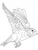 Japanese bird coloring page
