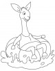 Llama Coloring Page