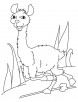 Llama running coloring page