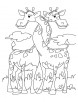 Loving giraffe coloring pages