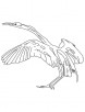 Snowy egret coloring page