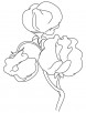 Sweet pea flowering plant coloring page