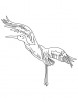 Whooping crane coloring page