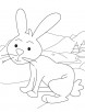 A bunny coloring page