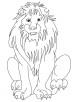 African lion coloring page