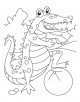 Alligator Coloring Page