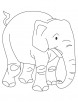 An elephant calf coloring page