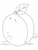 A big apricot coloring pages