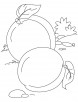 Two apricot coloring pages