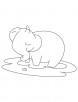Baby elephant in mud coloring page