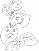 Basil leaves coloring page