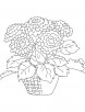Basket of chrysanthemum coloring page