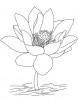 Beautiful lotus flower coloring page