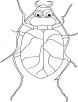 Beetle, why upset? coloring pages