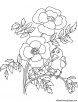 Bird on poppy plant coloring page