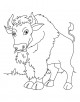 Bison Coloring Page