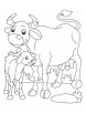 Buffalo and Calf coloring page