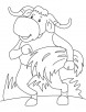 Bull going to sleep coloring page