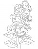 Bunch of bellflower coloring page
