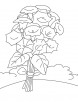 Bunch of bindweed coloring page