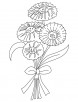 Bunch of cornflower coloring page