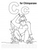 C for chimpanzee coloring page with handwriting practice  	