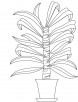 Cane Plant coloring page