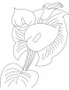 Canna bulb coloring page