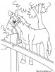 Cartoon horse coloring page