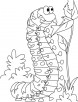 Caterpillar satisfying hunger coloring pages