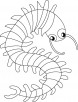 Crawling centipede coloring pages