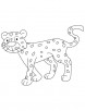 cheetah cub at walking coloring page