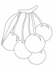 Bunch of cherries coloring pages